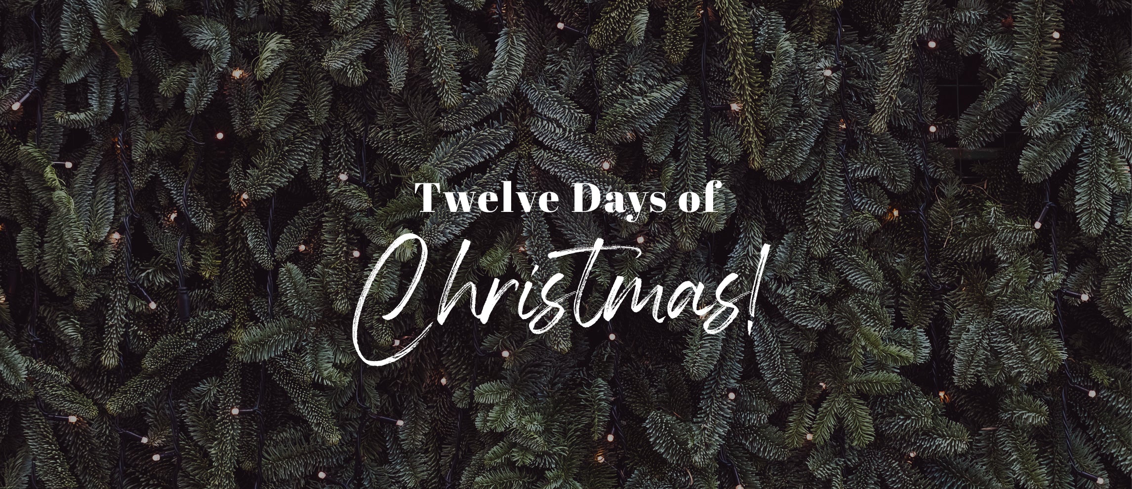 Willow 12 Days of Christmas