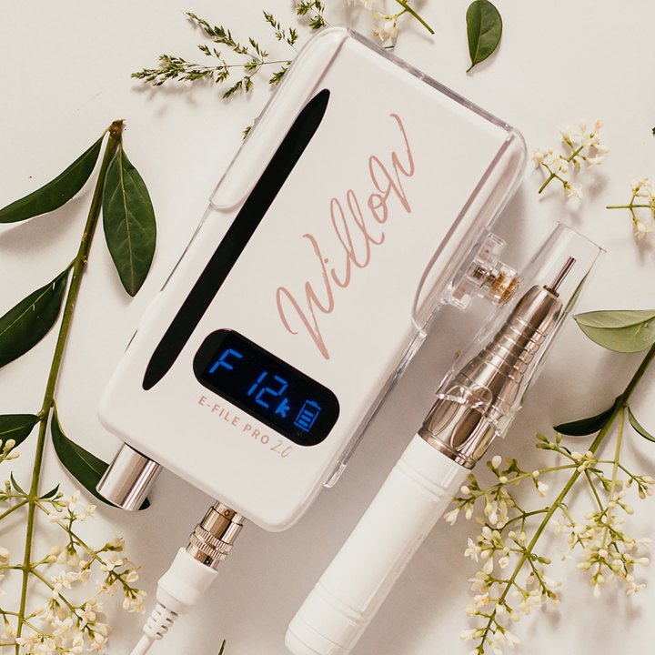 Willow E-file Pro 2.0