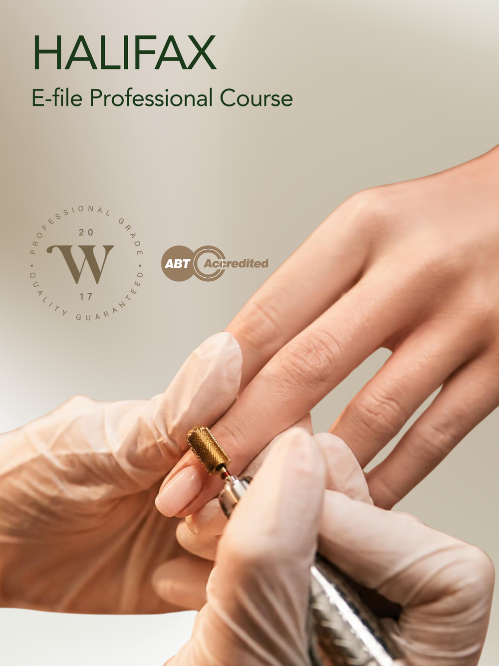 Halifax Willow E-file Professional Course