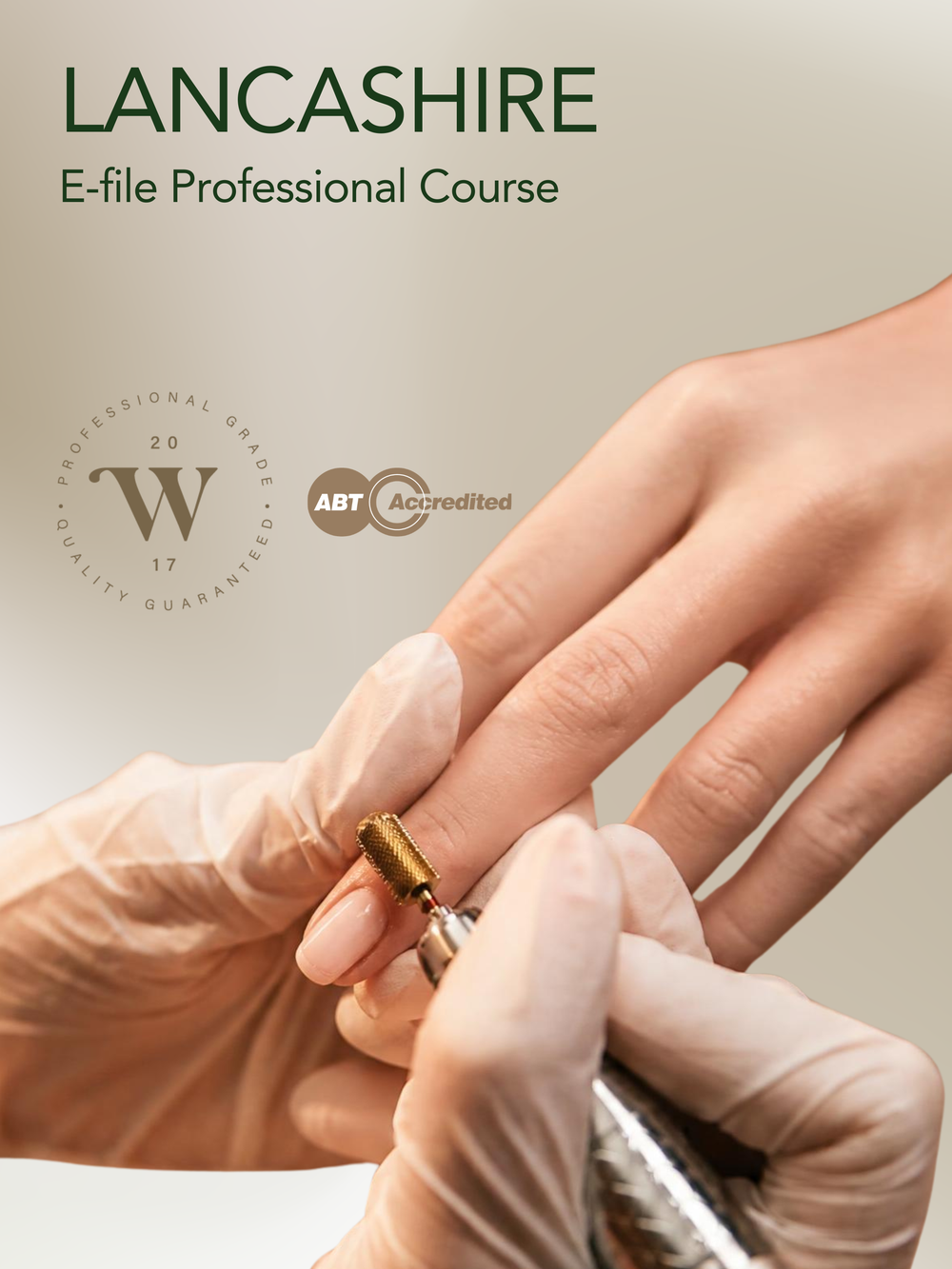 Lancashire Willow E-file Professional Course