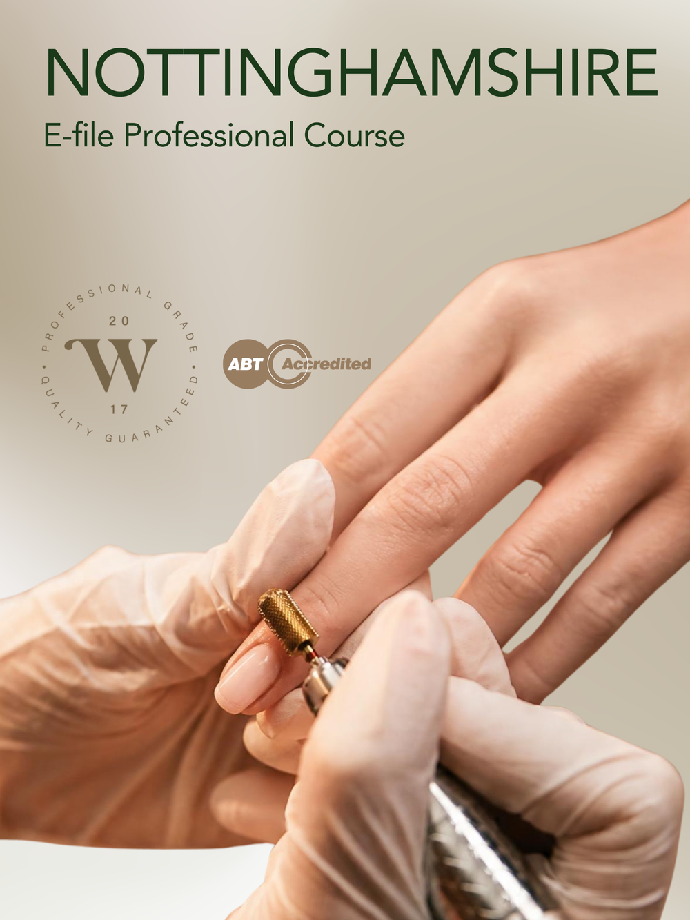 Nottinghamshire Willow E-file Professional Course