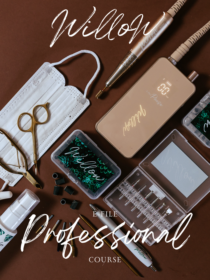 Halifax Willow E-file Professional Course