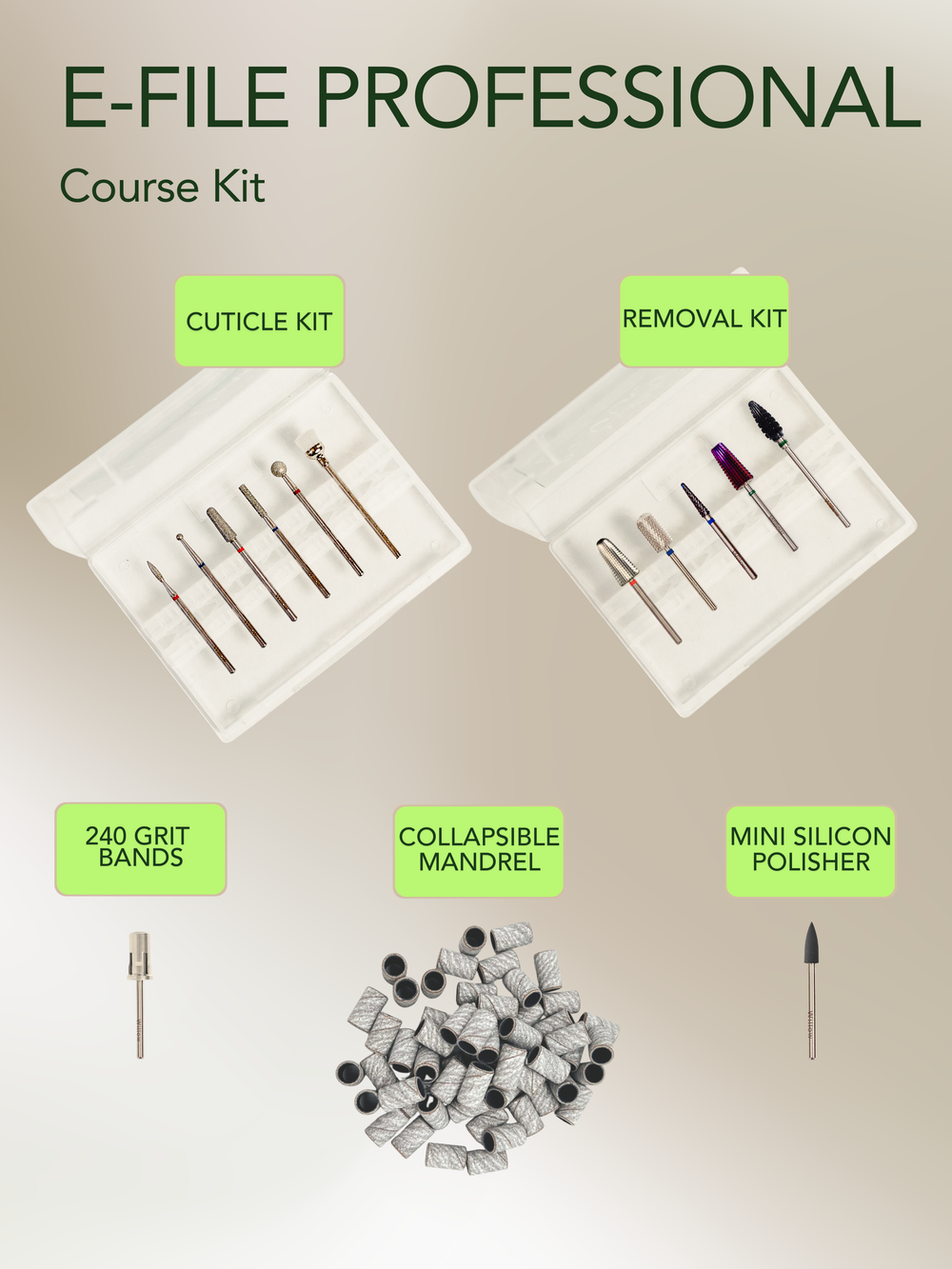 Willow E-file Professional Course Kit