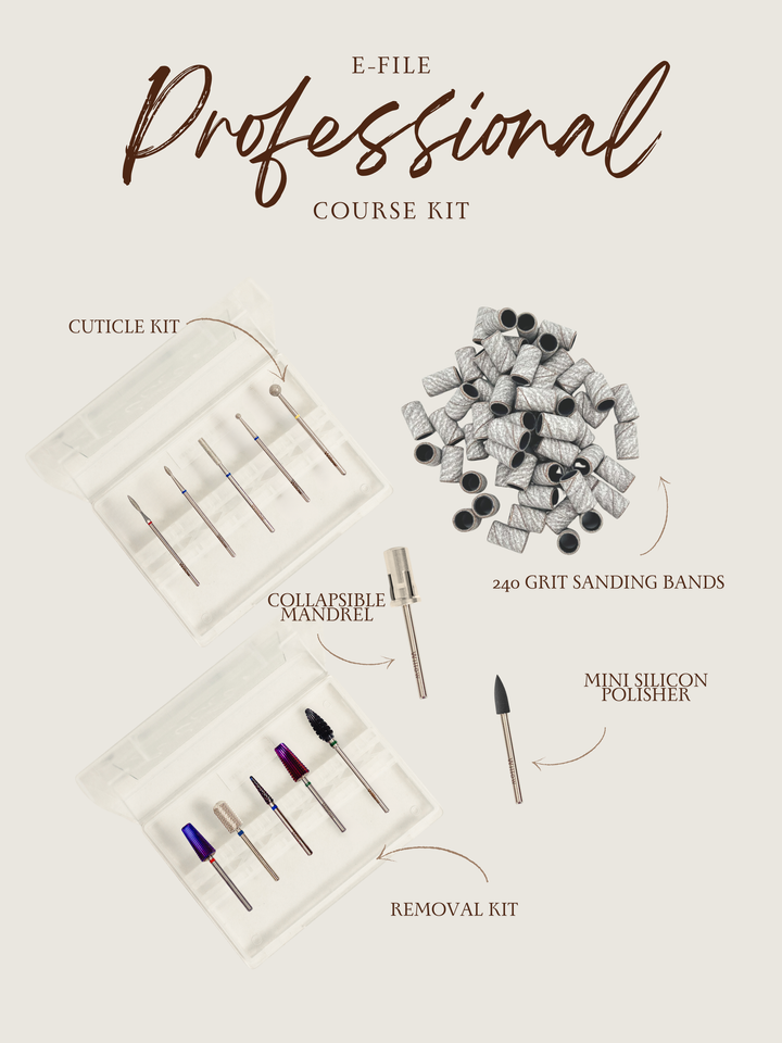 Willow E-file Professional Course Kit