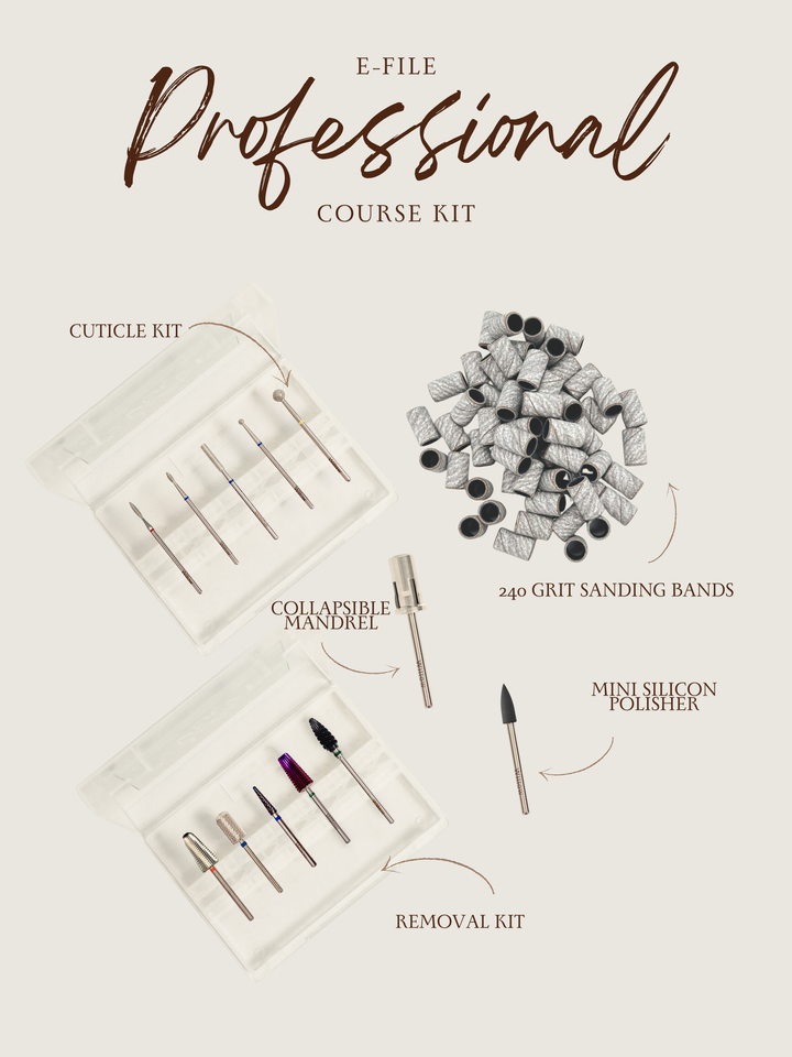 Willow E-file Professional Course Kit