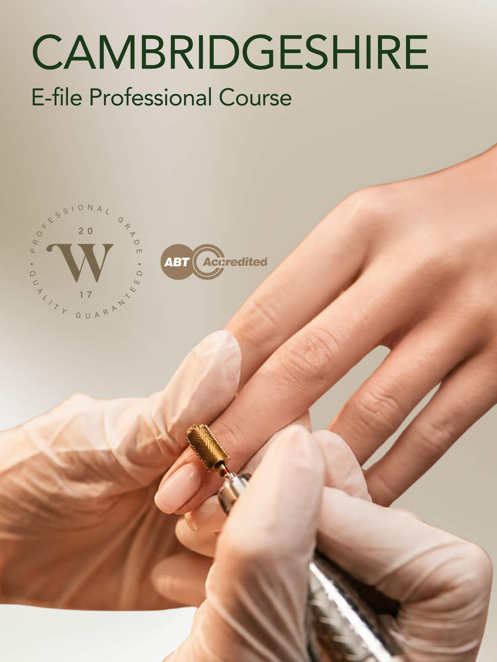 Cambridgeshire Willow E-file Professional Course