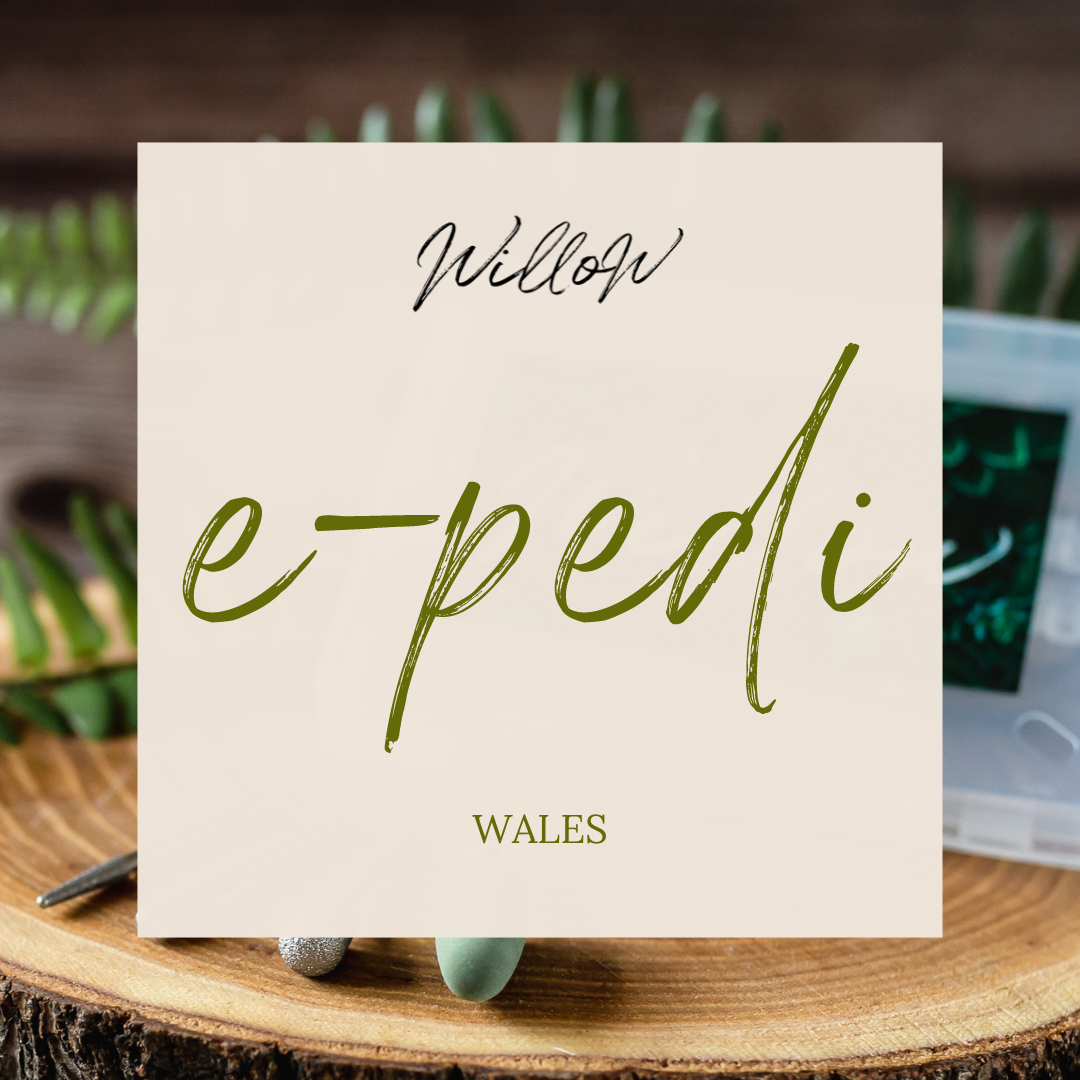 E-Pedi Course - Wales
