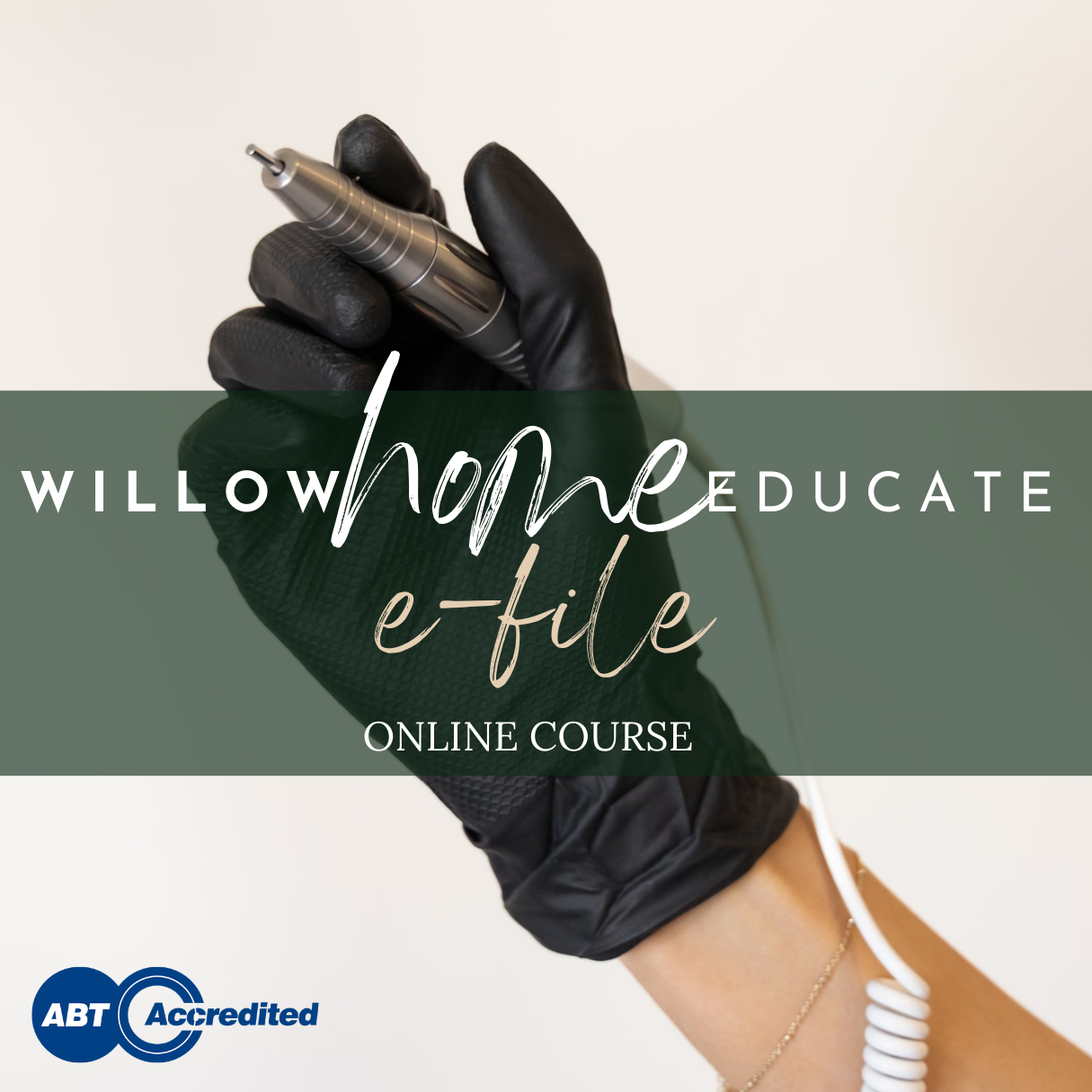 Willow Home Educate Online E-file Course