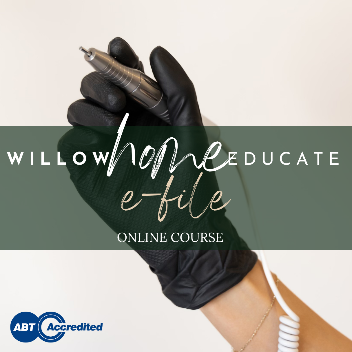 E File Course Willow Home Educate Online E-file Course – Willow Academy