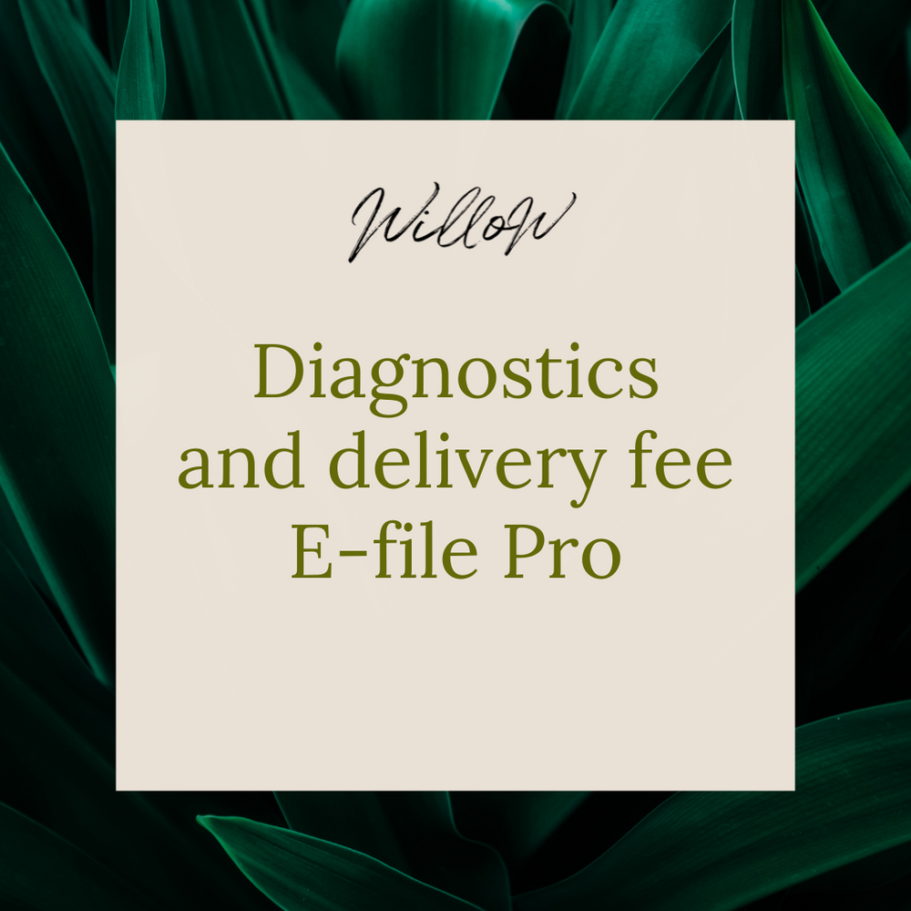 Diagnostics, Repair & Delivery Fee