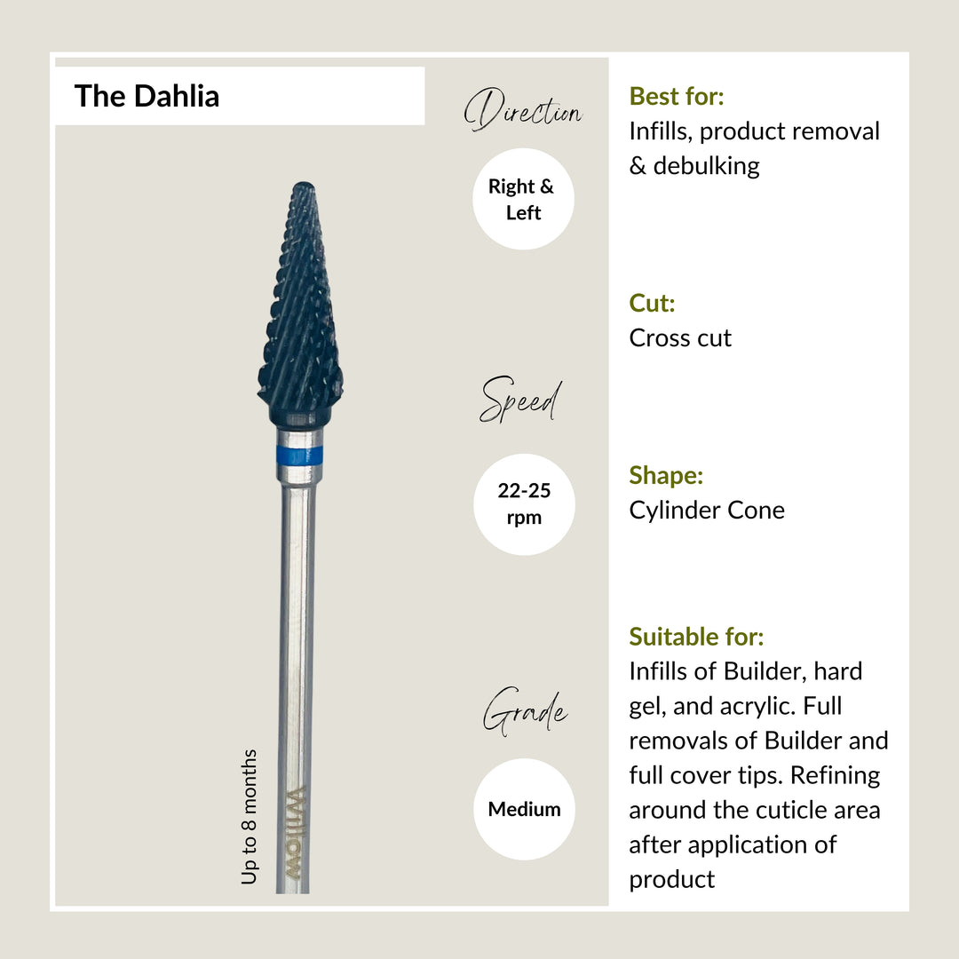 Dahlia - Medium