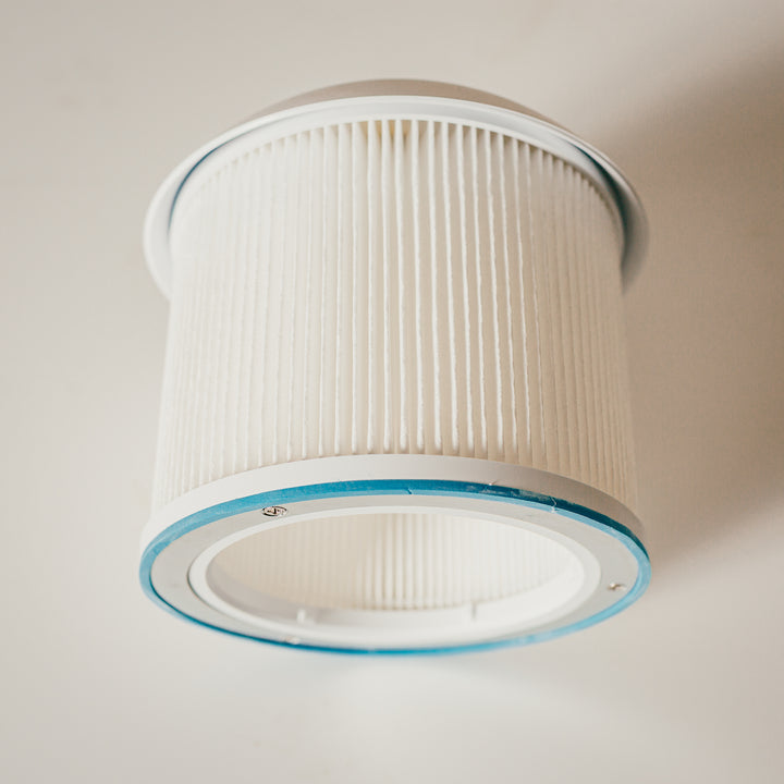 Willow Pro Extract filter