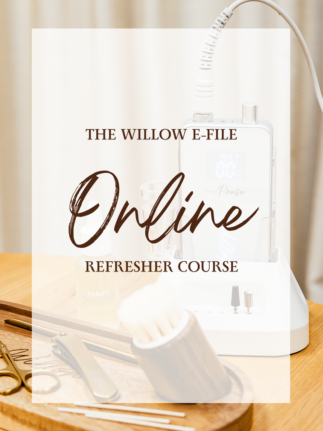 The Willow E-file Online Refresher Course