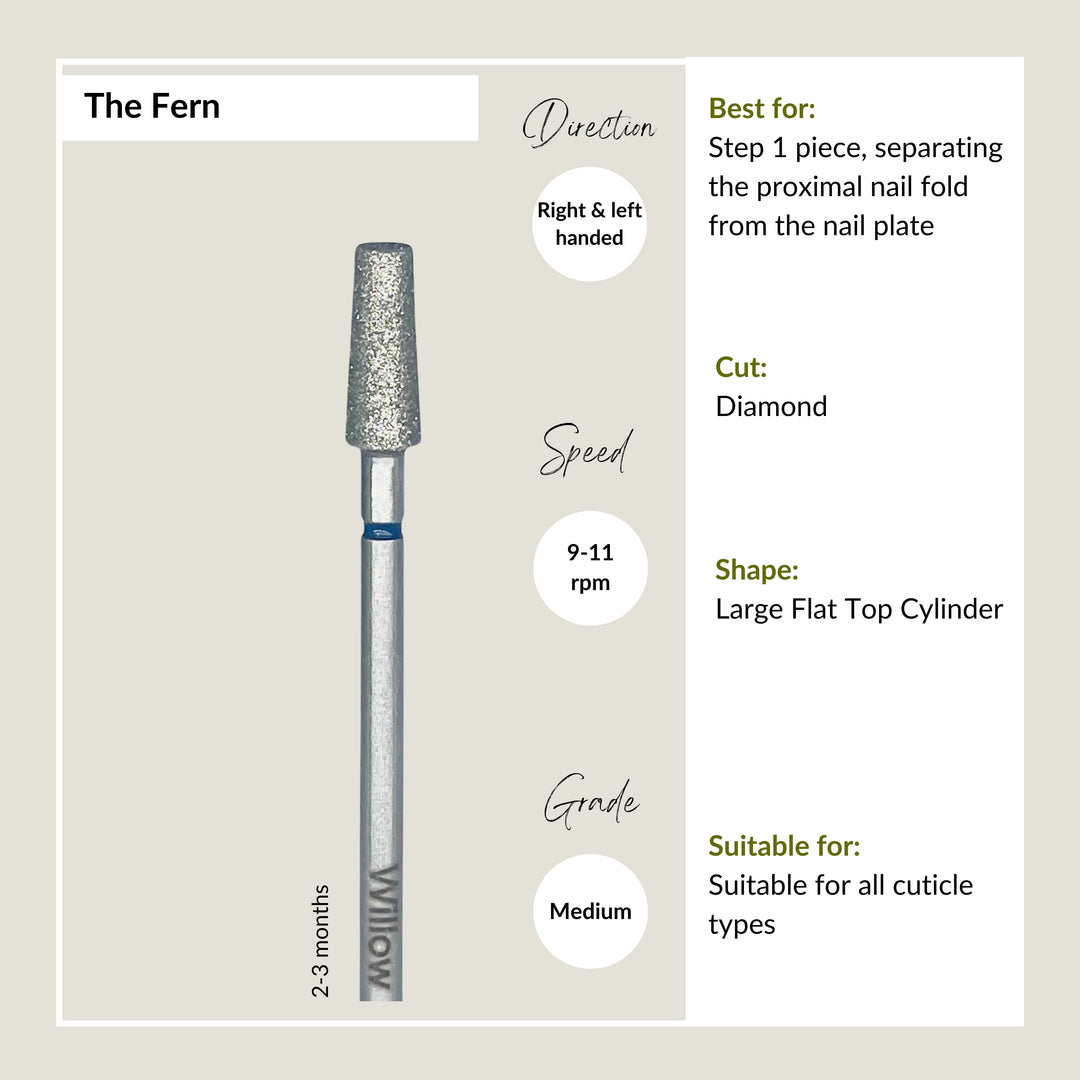 The Fern - Medium