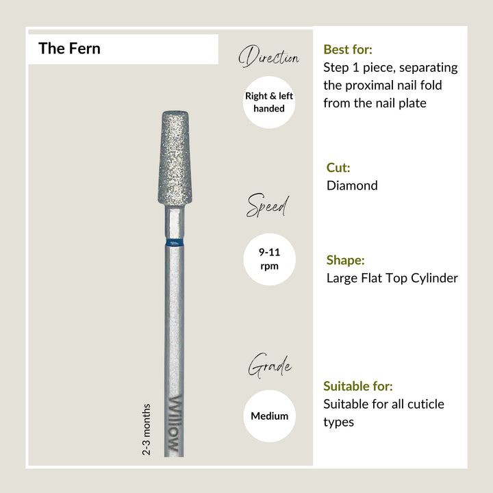 The Fern - Medium