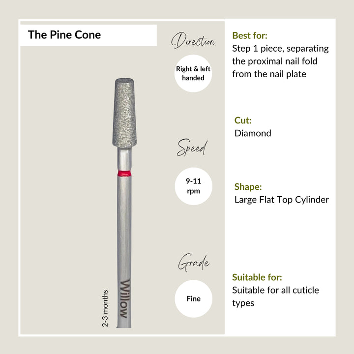 The Pine Cone - Fine