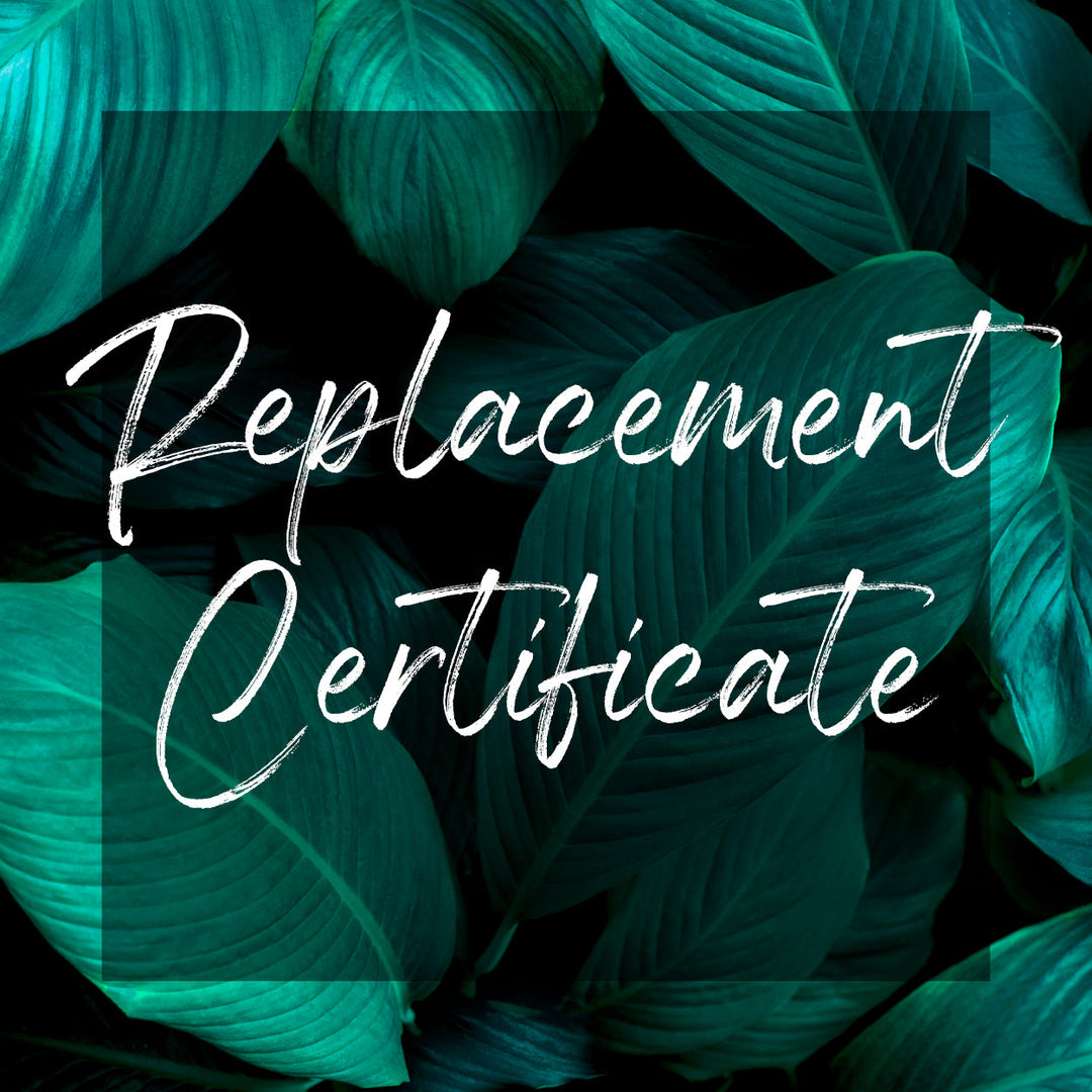 Willow E-file Course Replacement Certificate (7635699761390)