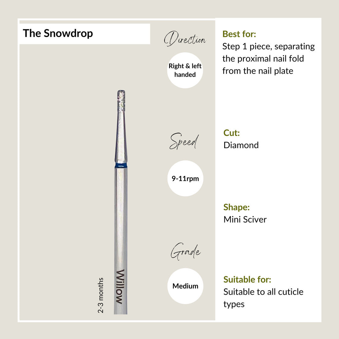 The Snowdrop - Medium