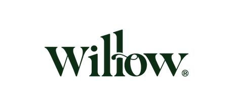 Willow Academy