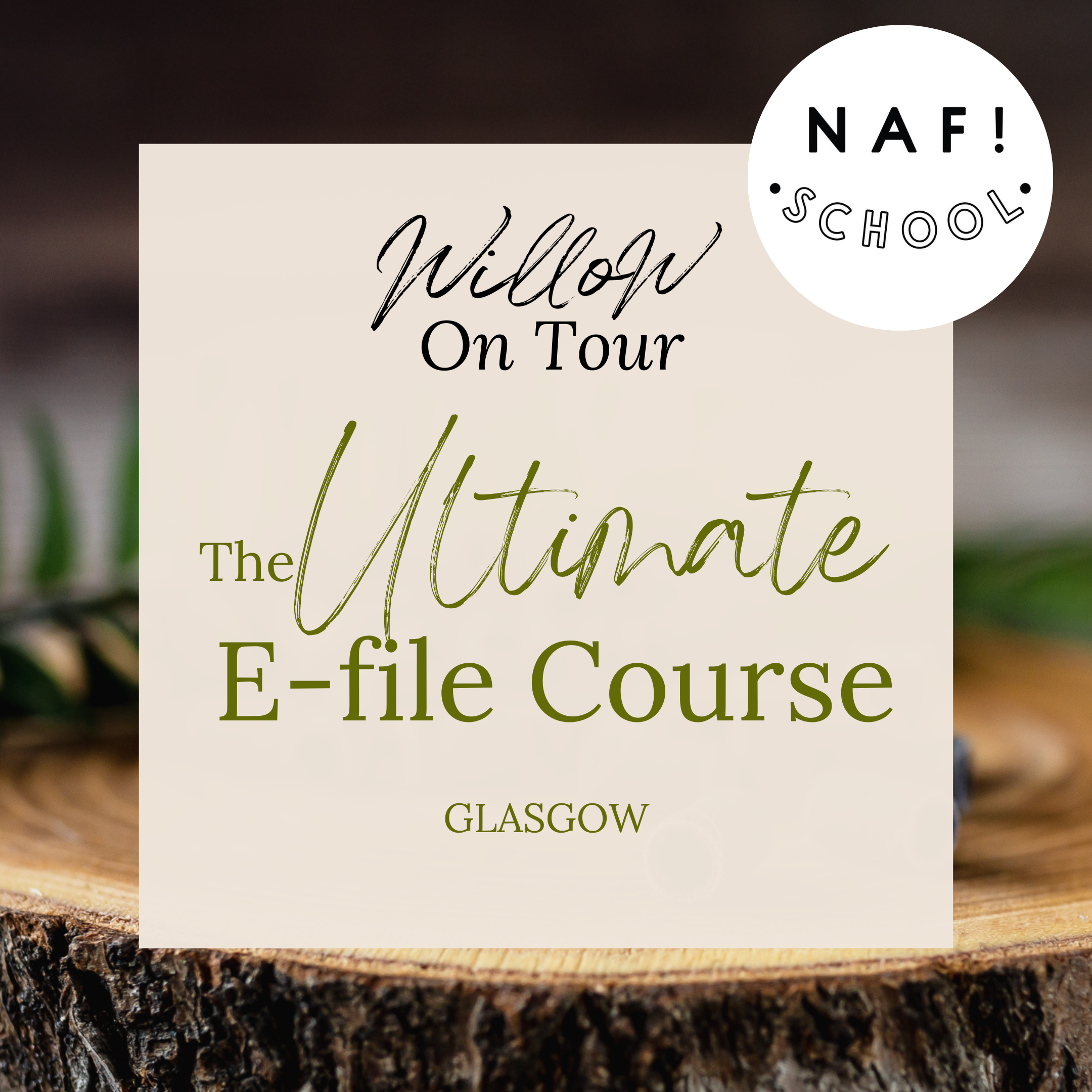 Willow On Tour: The Ultimate E-file Course - Glasgow