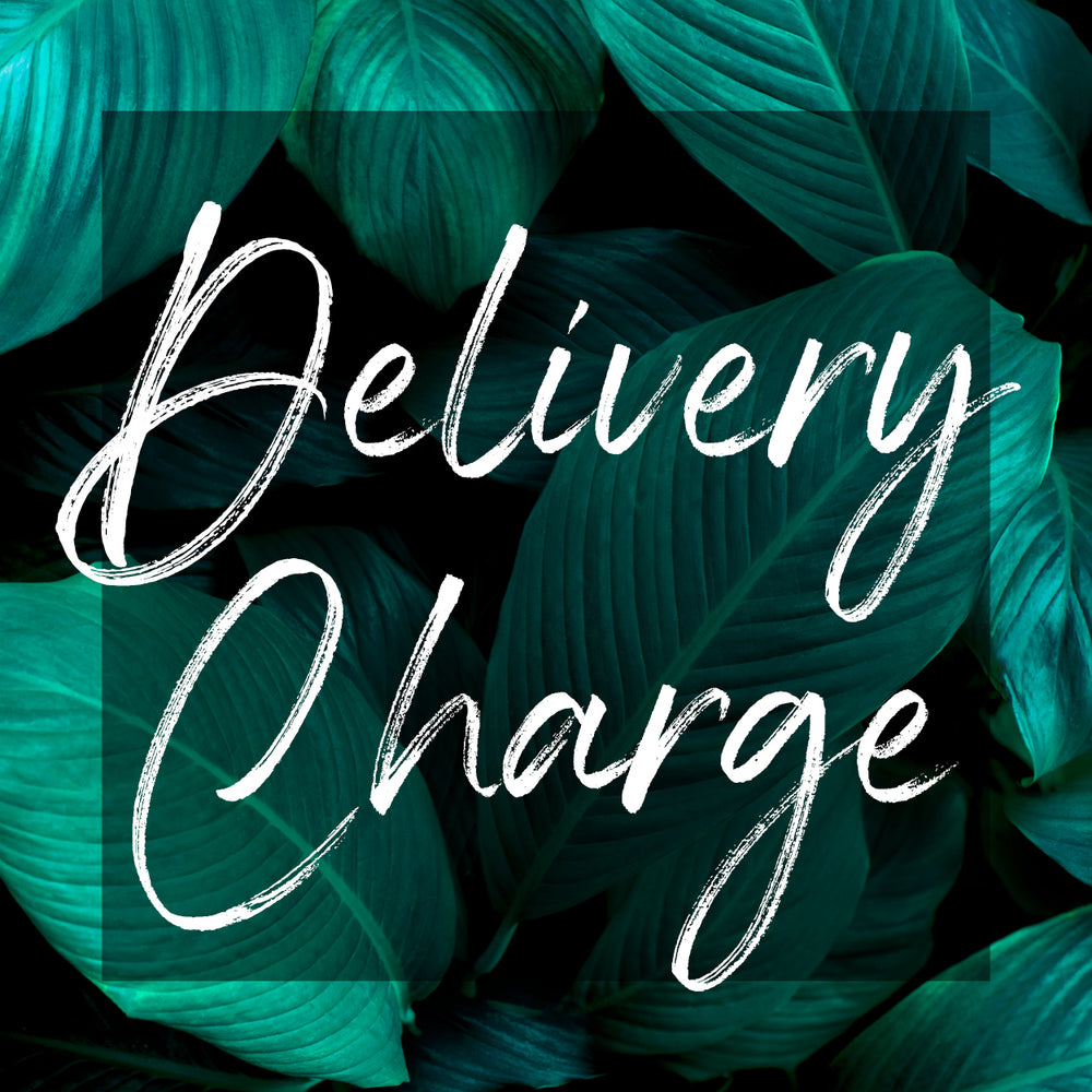 Standard delivery charge